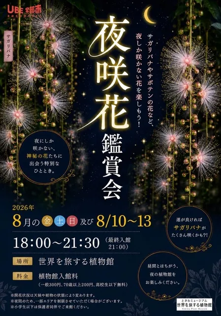 夜咲花鑑賞会_1
