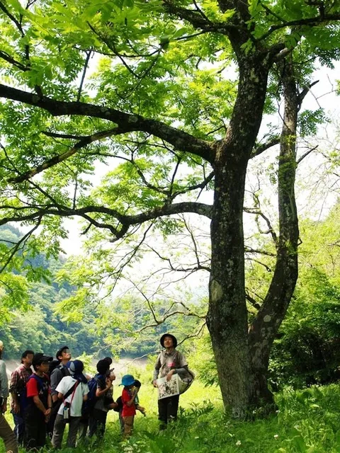夏休みも毎日開催！夏の自然体験プログラム_1