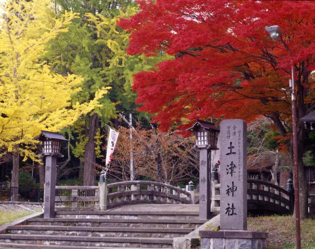 【紅葉・見ごろ】土津神社_1