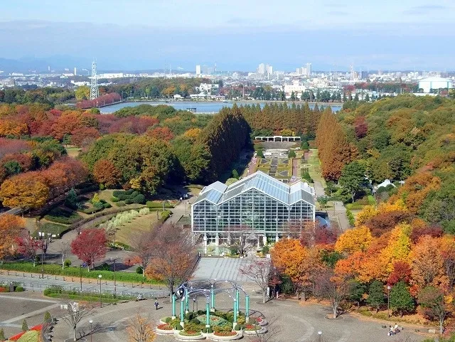 【紅葉・見ごろ】相模原公園_1