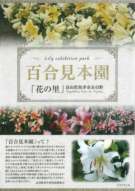 百合見本園_1