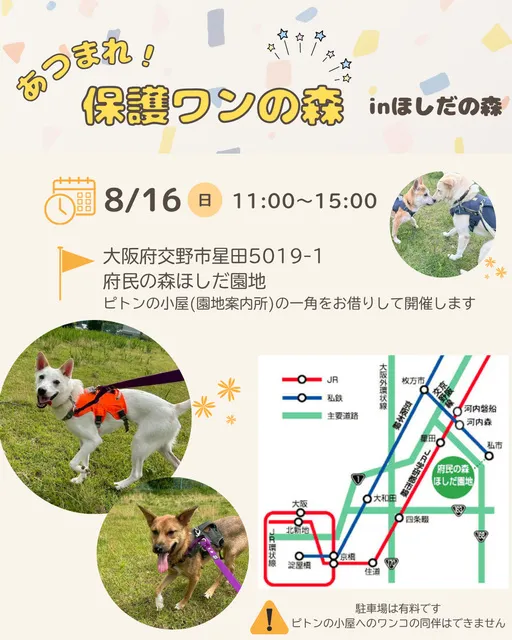 あつまれ！保護わんの森（生駒譲渡センター）8月_1