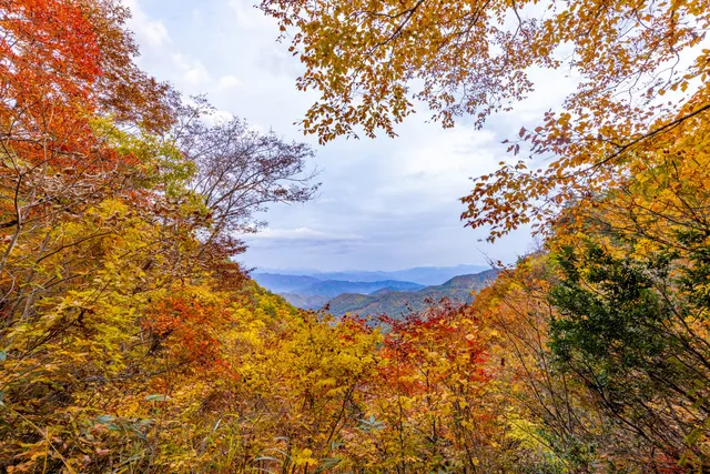 【紅葉・見ごろ】宇津江四十八滝_1