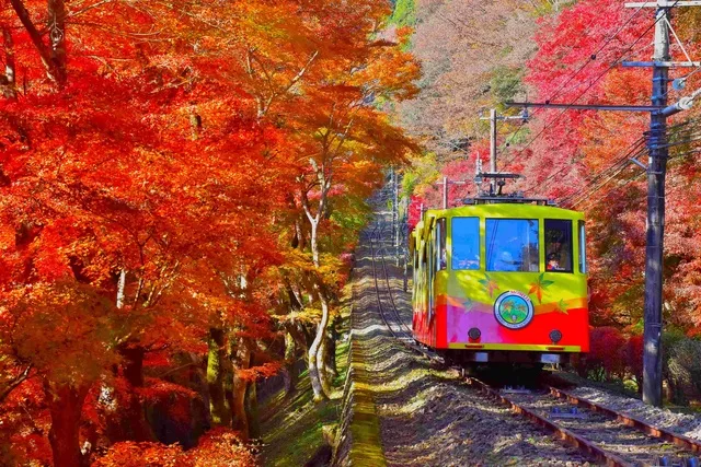 【紅葉・見ごろ】高尾山_1