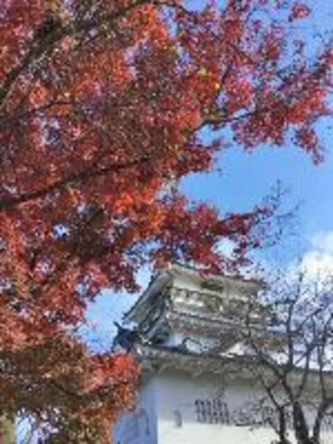 【紅葉・見ごろ】杵築城_1