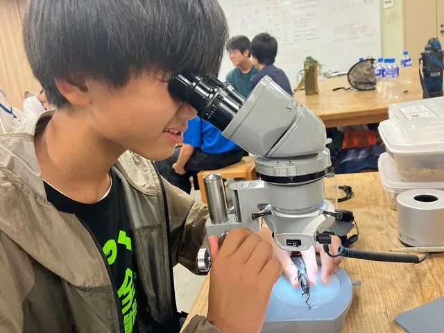 ヒメオオクワガタリサーチ合宿_1