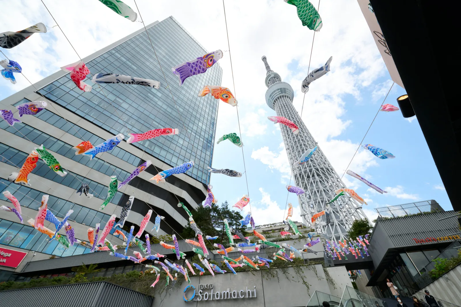 東京スカイツリータウン(R) こいのぼりフェスティバル 2026