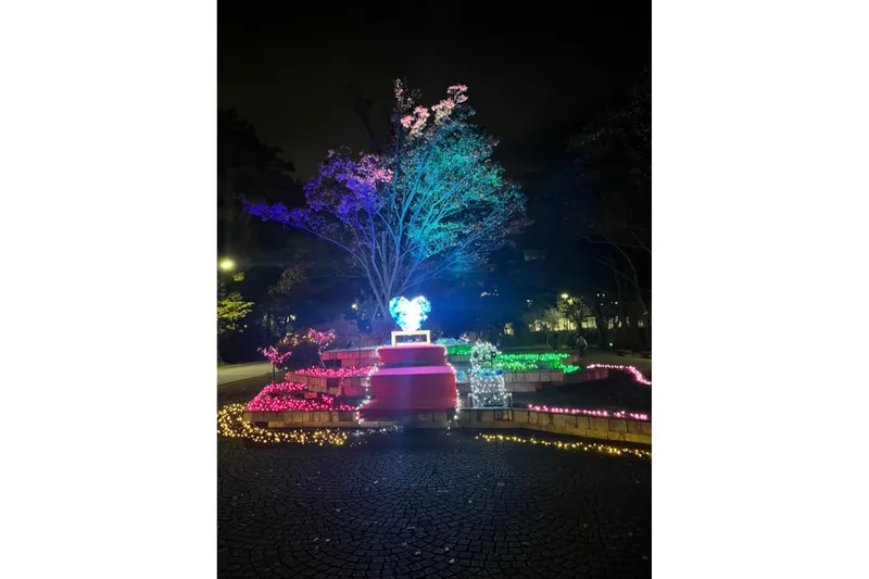 埼玉大学イルミネーション