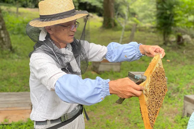 八百津町　養蜂体験とハチミツ夏の楽しみ方体験_1