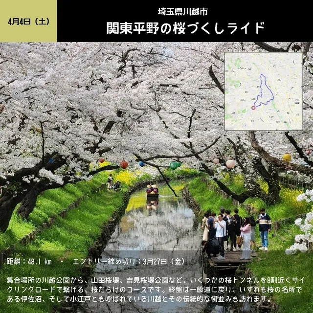 関東平野の桜づくしライド_1