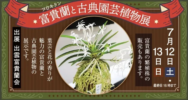 富貴蘭 必見！!雲水寺羆(本芸品) 楽天市場】【富貴蘭】瑞雲（ずいうん）