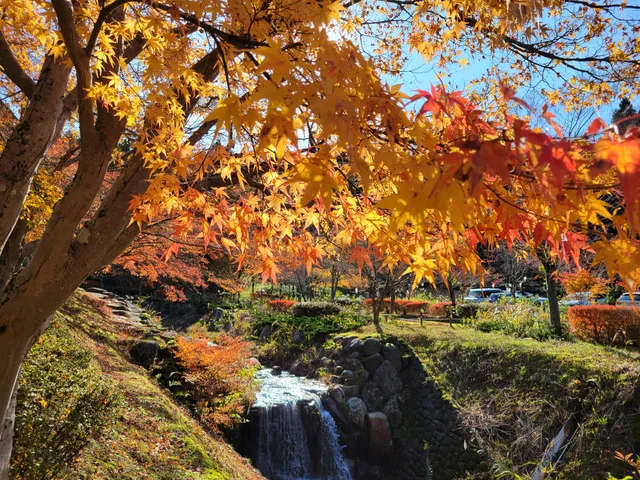 【紅葉・見ごろ】永光寺_1
