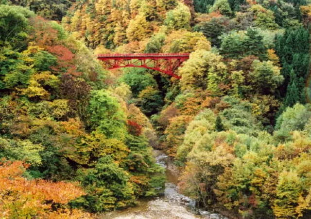【紅葉・見ごろ】松川渓谷_1