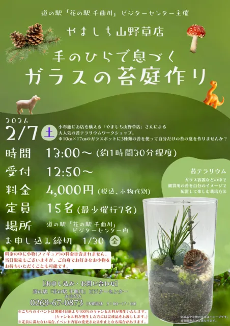 苔テラリウムで作る手のひらの庭