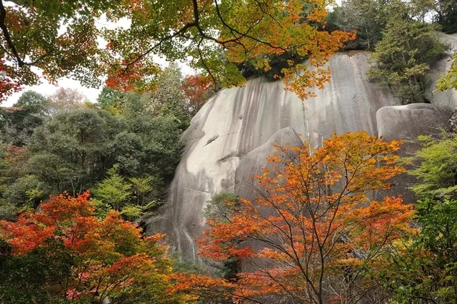 【紅葉・見ごろ】鬼岩公園_1