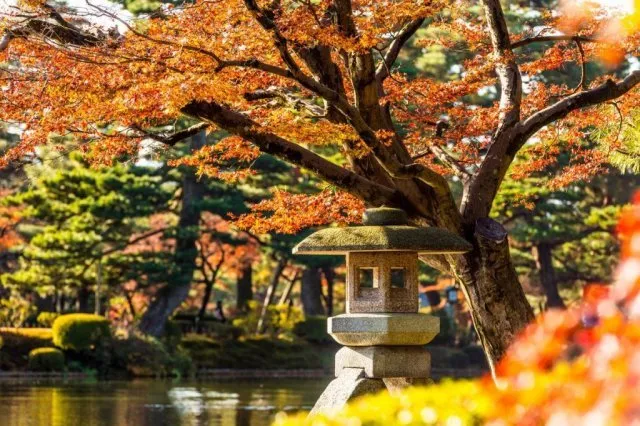 【紅葉・見ごろ】兼六園_1