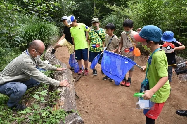 夏休み自由研究解決！昆虫採集と生きもの観察＆MAP・図鑑づくり_1