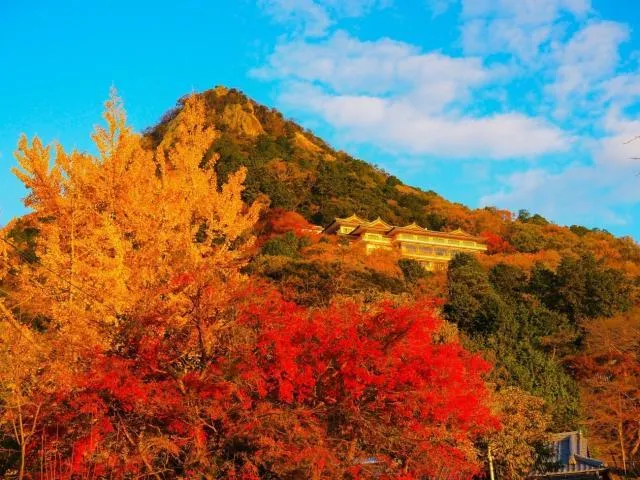 【紅葉・見ごろ】太郎坊宮・阿賀神社_1