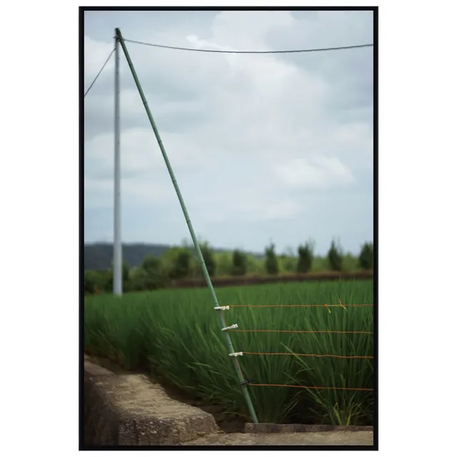 日下部一司展「風景を愛でる」_1