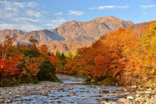 【紅葉・見ごろ】銀山平_1