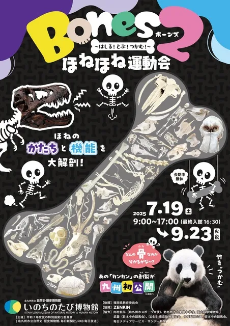 夏の特別展「Bones２　ほねほね運動会　～はしる！とぶ！つかむ！～」_1