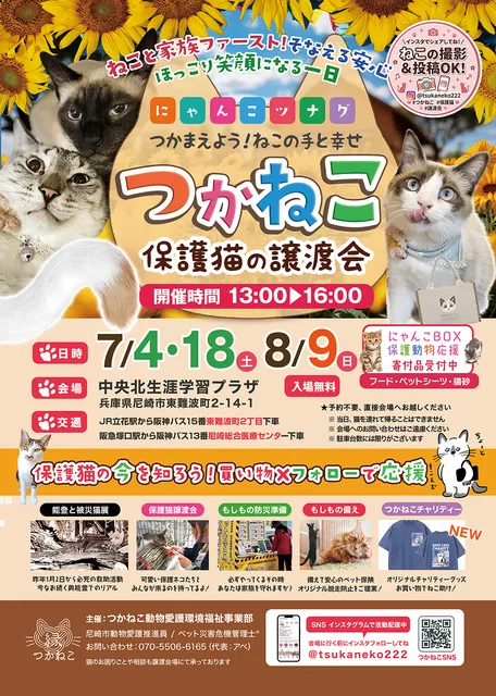 つかねこ譲渡会＆パネル展・チャリティーグッズ販売（7月・8月）_1