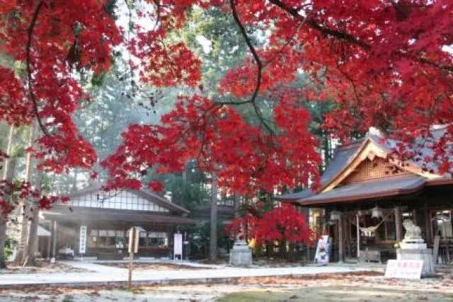 【紅葉・見ごろ】總宮神社_1