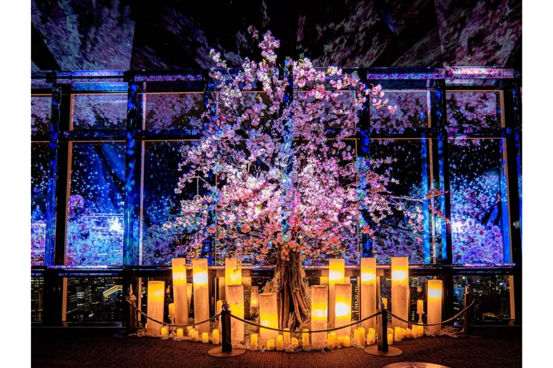 TOKYO TOWER CITY LIGHT FANTASIA - Spring Concerto 2026 -