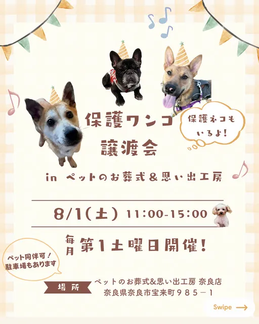 保護ワンコ譲渡会inペットのお葬式＆思い出工房_1