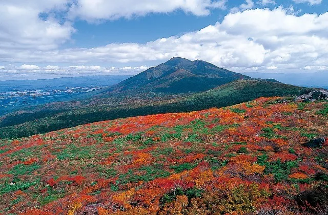 【紅葉・見ごろ】三ツ石山_1