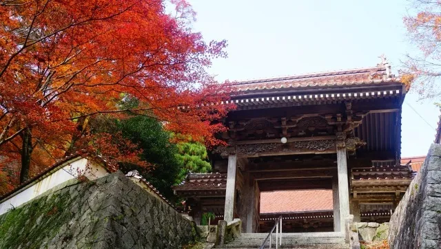 【紅葉・見ごろ】西念寺_1