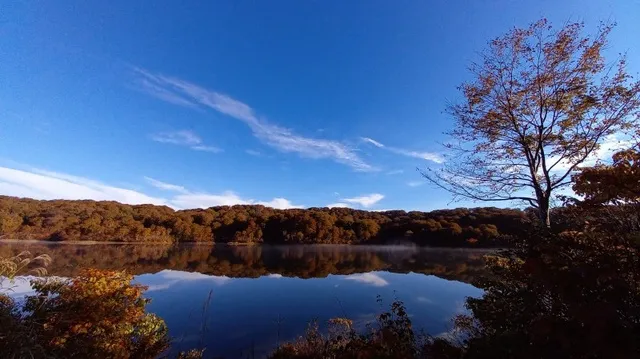 【紅葉・見ごろ】野々海高原_1