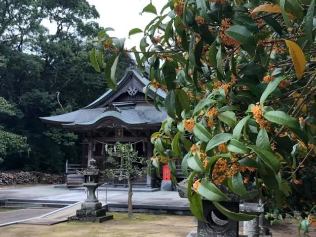 鏡神社　秋祭り（秋季例大祭）_1