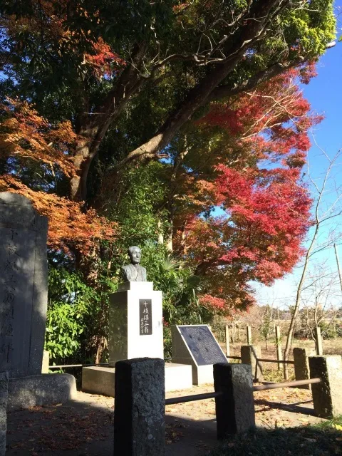 【紅葉・見ごろ】十枝の森_1