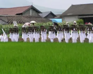 国造神社　おんだ祭り_1