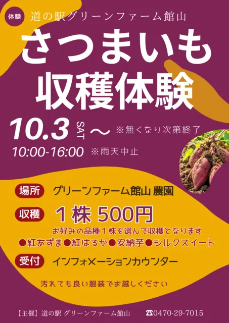 さつまいも収穫体験／道の駅グリーンファーム館山_1