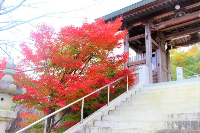 【紅葉・見ごろ】白山_1