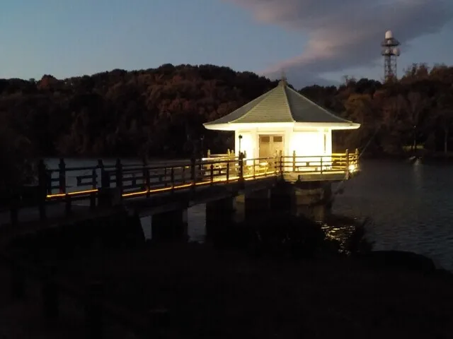 浮見堂ライトアップ_1
