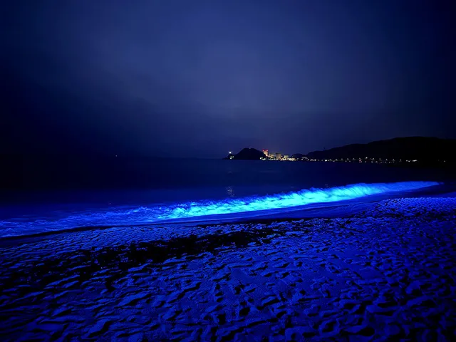 NIGHT WAVE～光の波プロジェクトin水晶浜～_1