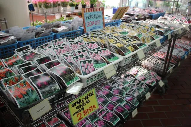 秋の球根特売会_1