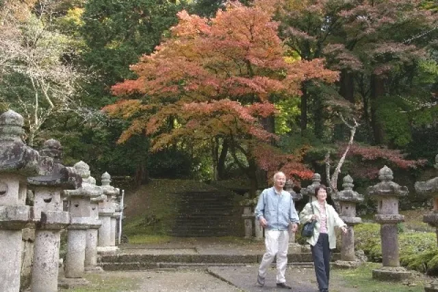 【紅葉・見ごろ】鳥取藩主池田家墓所_1