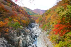 【紅葉・見ごろ】龍王峡_1