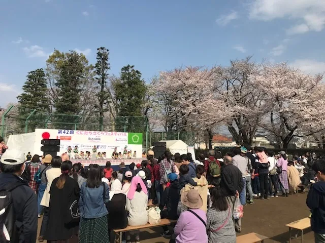 第49回くにたちさくらフェスティバル_1
