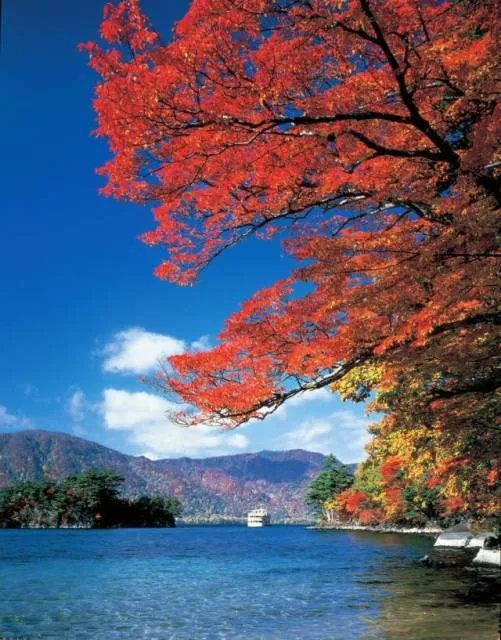 【紅葉・見ごろ】十和田湖_1