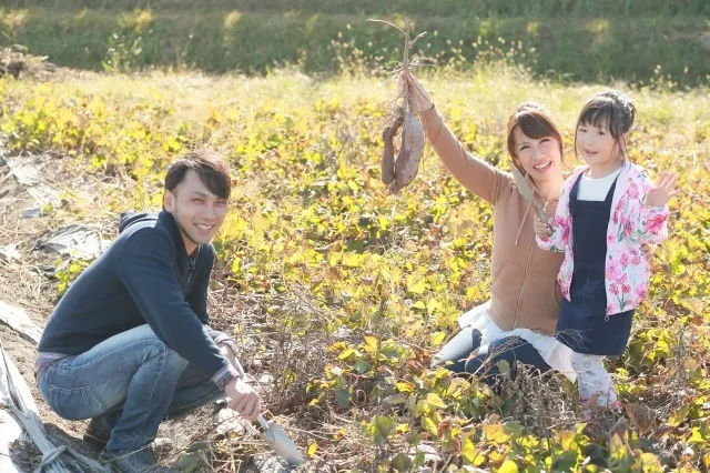 しい茸ランド かさや芋ほりイベント_1