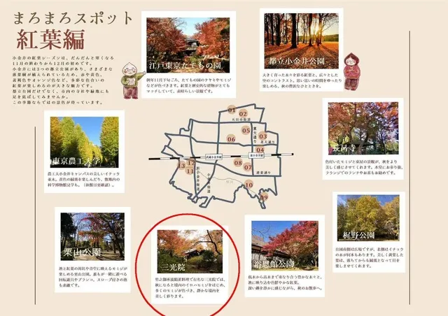【紅葉・見ごろ】三光院_1