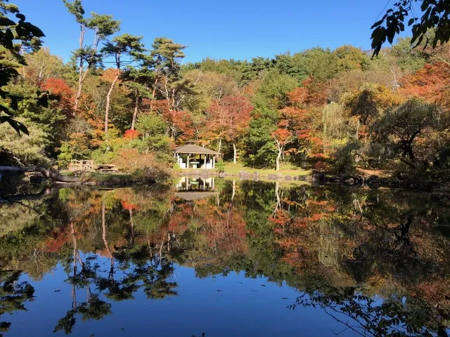 【紅葉・見ごろ】塩嶺御野立公園_1