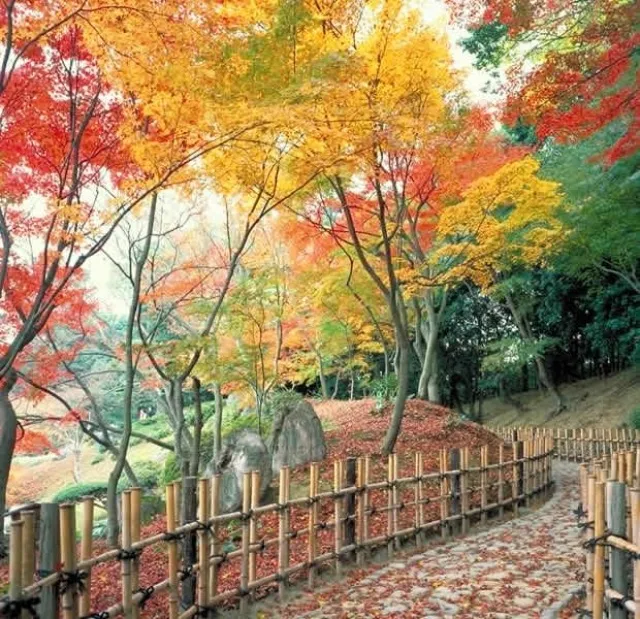 【紅葉・見ごろ】栗林公園_1