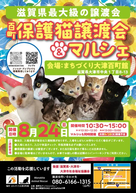 百町保護猫譲渡会＆マルシェ（8月）_1