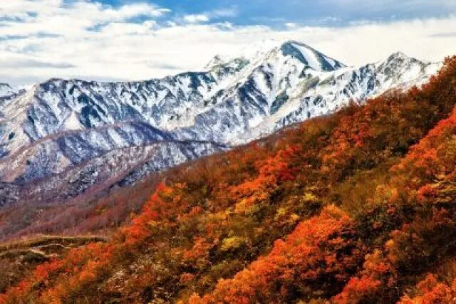【紅葉・見ごろ】枝折峠周辺_1